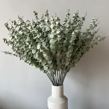 5 Vilica Imitacija Biljke Eukaliptus Novčani List Mraz Snop Vjenčanje Cvjetnih Aranžmana Pribor Za Ukras Kuće Zelene Biljke